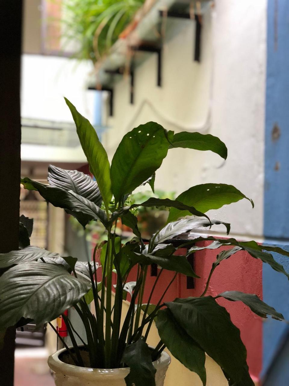 Appartamento La Ventana Modern House Hai Phong Esterno foto